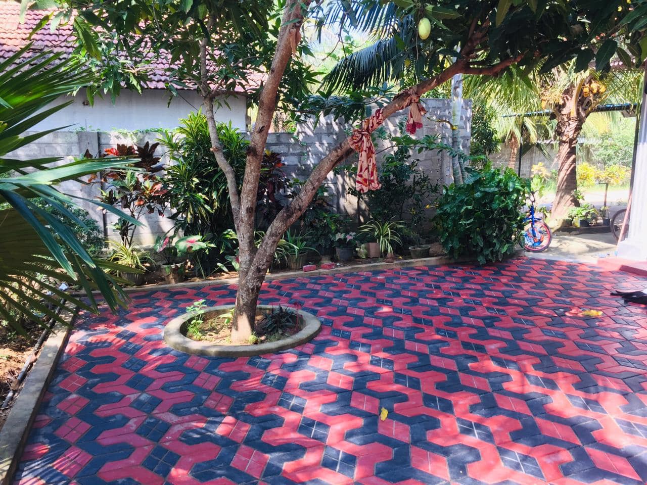 Project-38c6d0fb-65f7-4070-a205-577c3e2a6d4f